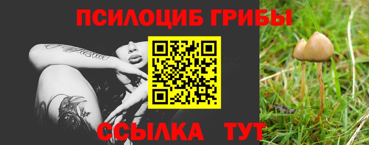 Клин  Галлюциногенные грибы мицелий  Вход с VPN 