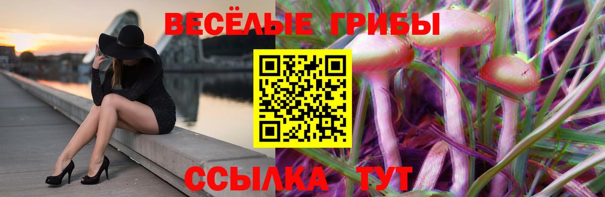 Псилоцибиновые грибы Cubensis Клин